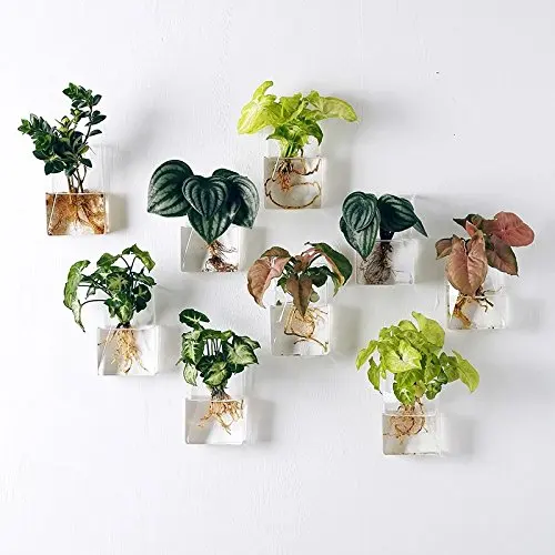 

Pack of 4 Wall Hanging Planters Hanging Glass Terrariums Wall Planters Hanging Flower Pots Air Plant Pots
