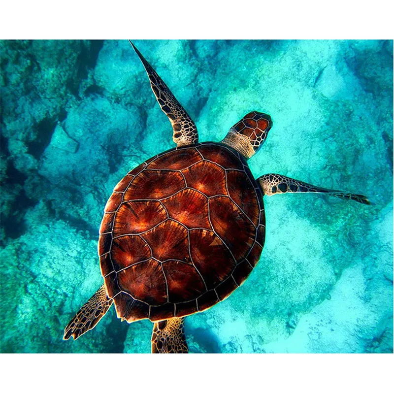 

turtle sea Swimming Animal DIY Digital Painting By Numbers Modern Wall Art Canvas Painting Unique Gift Home Decor 40x50cm