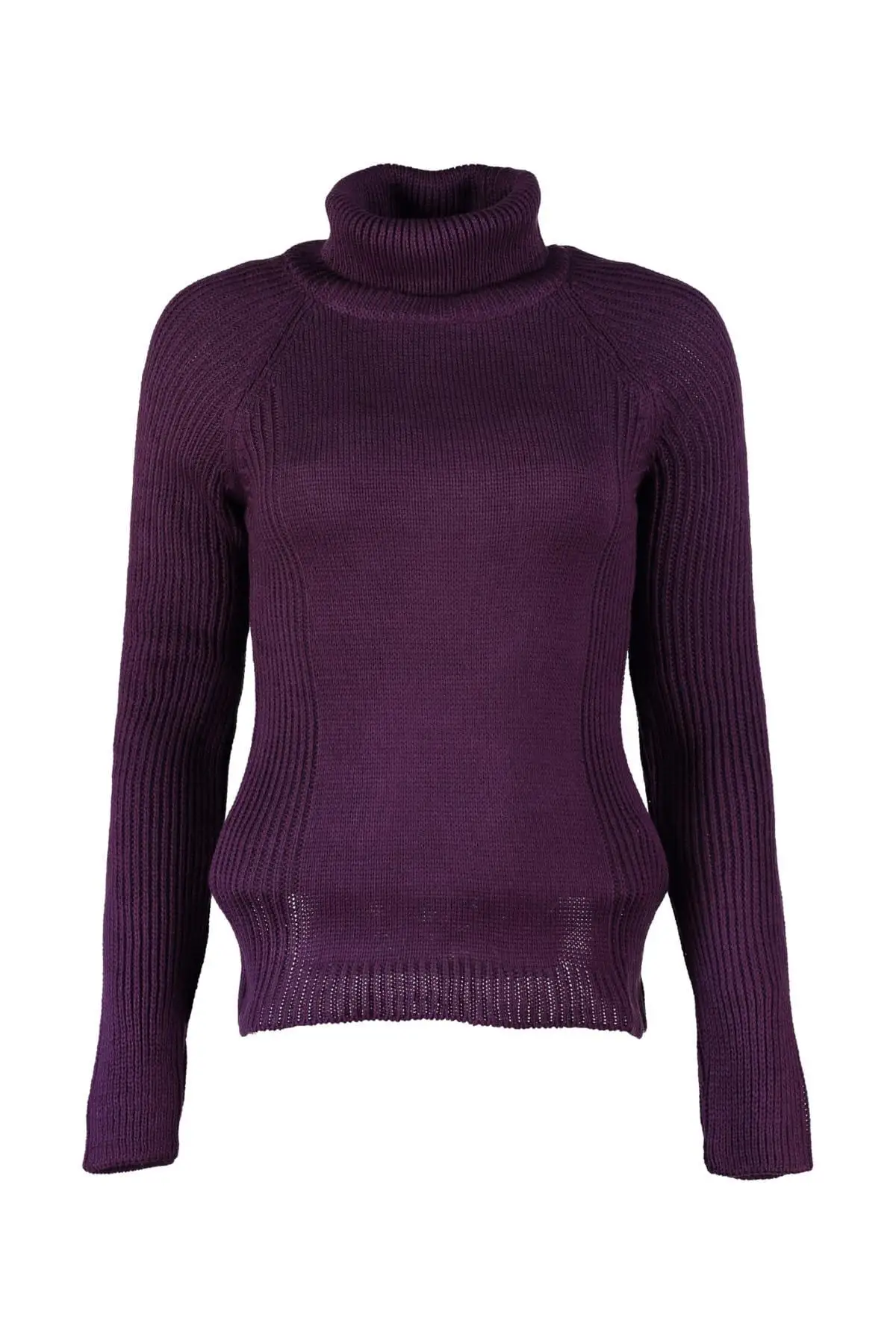 

Trendyol WOMEN-Purple Turtleneck Sweater Sweater TWOAW20FV0059