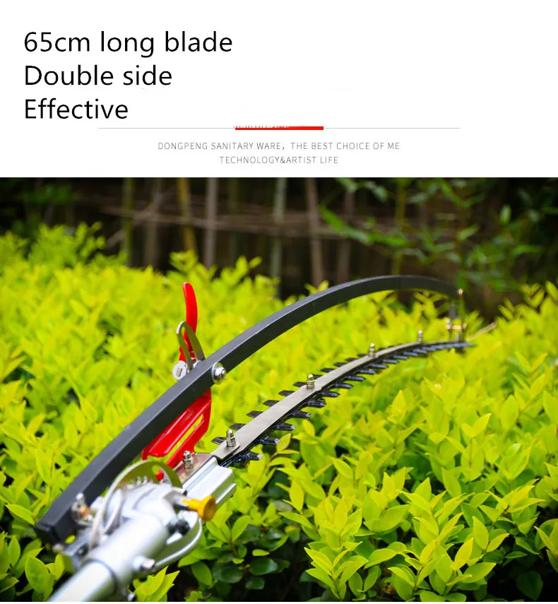 6_
