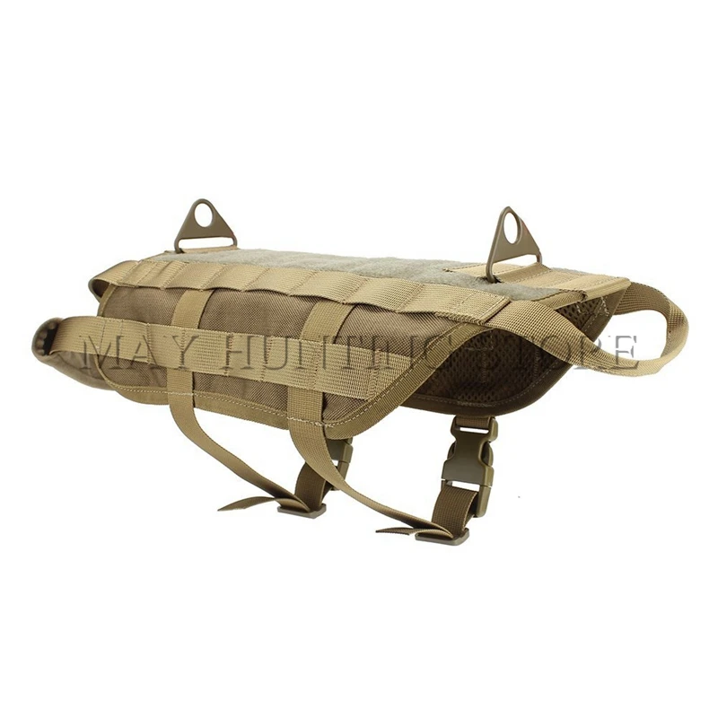 Dog-02