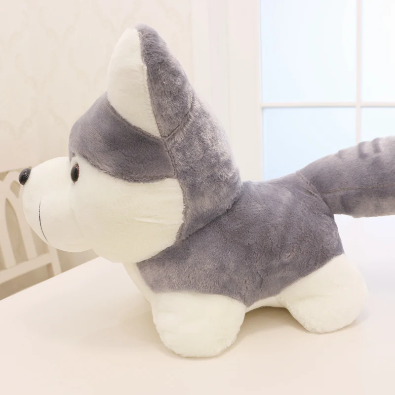 cute husky doll plush toy dog toys children's day birthday gift deco DY50689 (1)