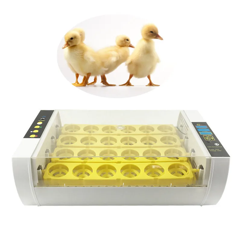 

Capacity 24 eggs Incubator Home use Digital Duck Quail Hatcher Electronic Digital Display Thermostat incubator for chicken
