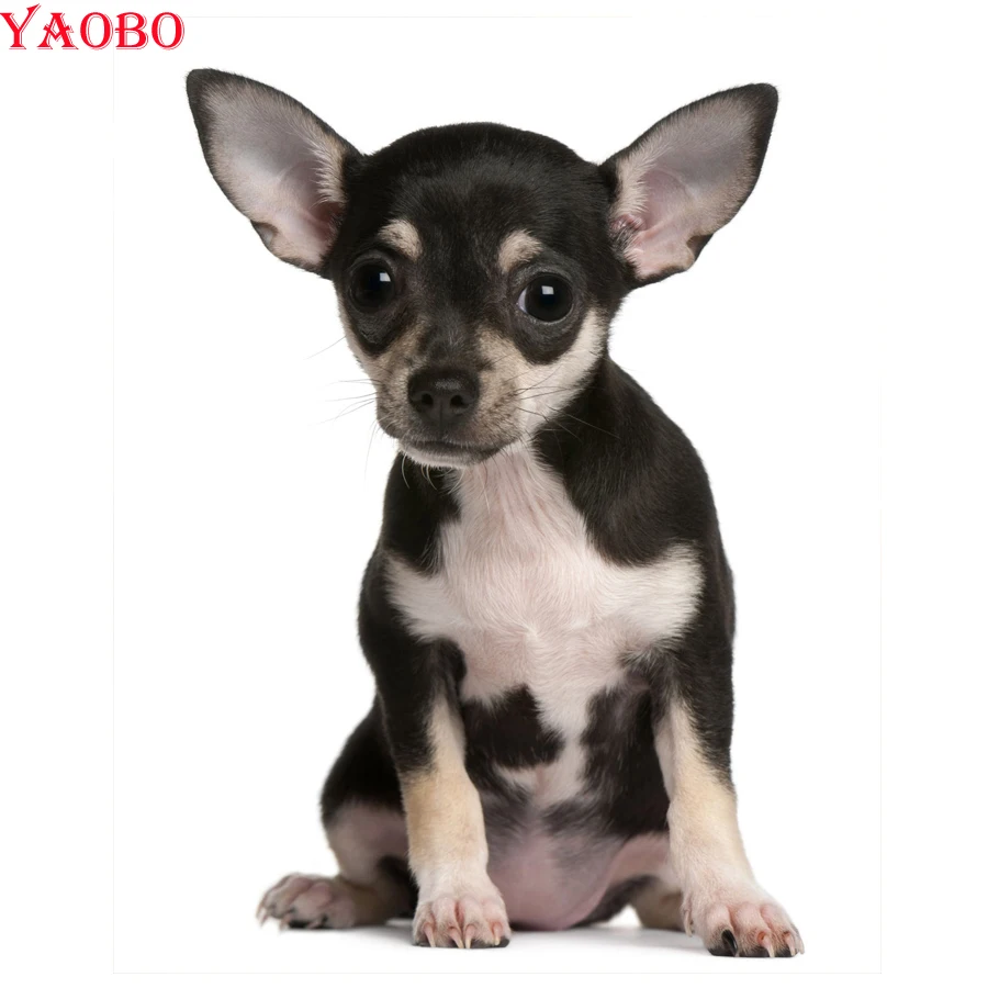 

diy Diamond Painting chihuahua Dog Full Square Round Drill Diamond Embroidery Sale cute pet animal Diamond Mosaic Wall stickers