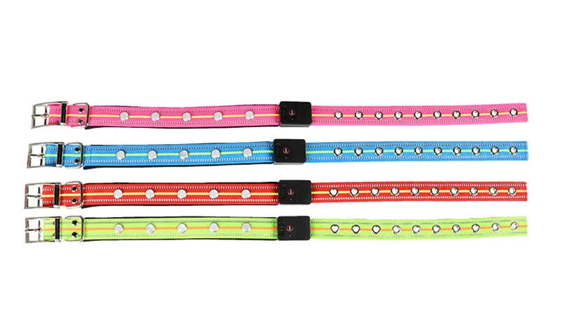 LED Dog Collar USB (12)
