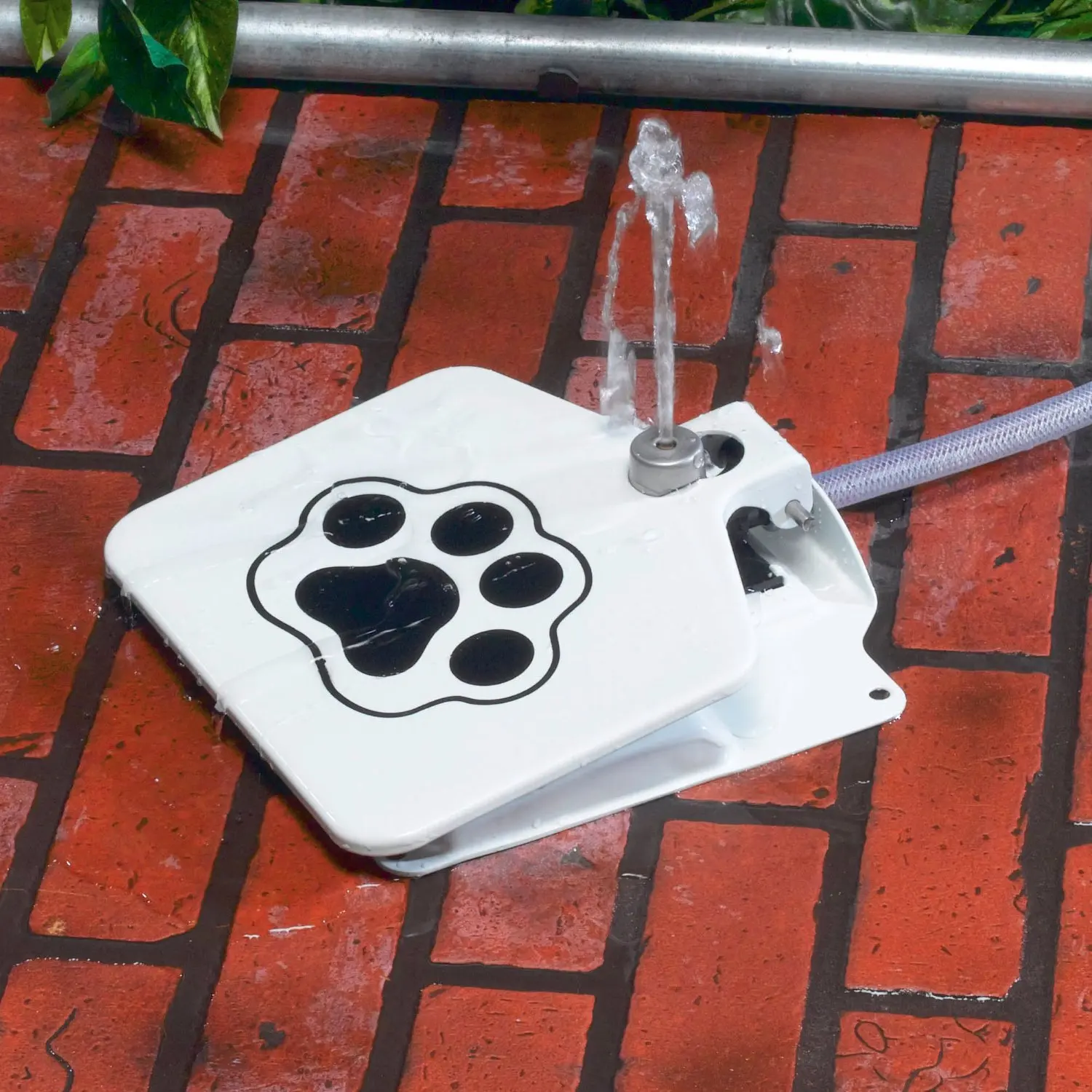 91sbh2mqQ5L._SL1500_