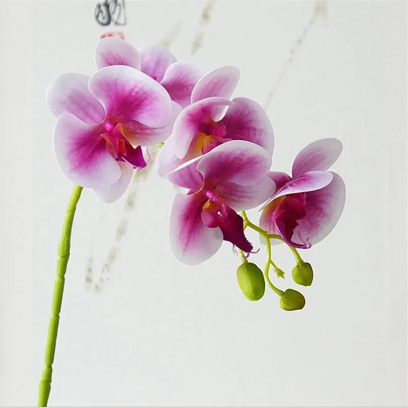 QQ20181205233136