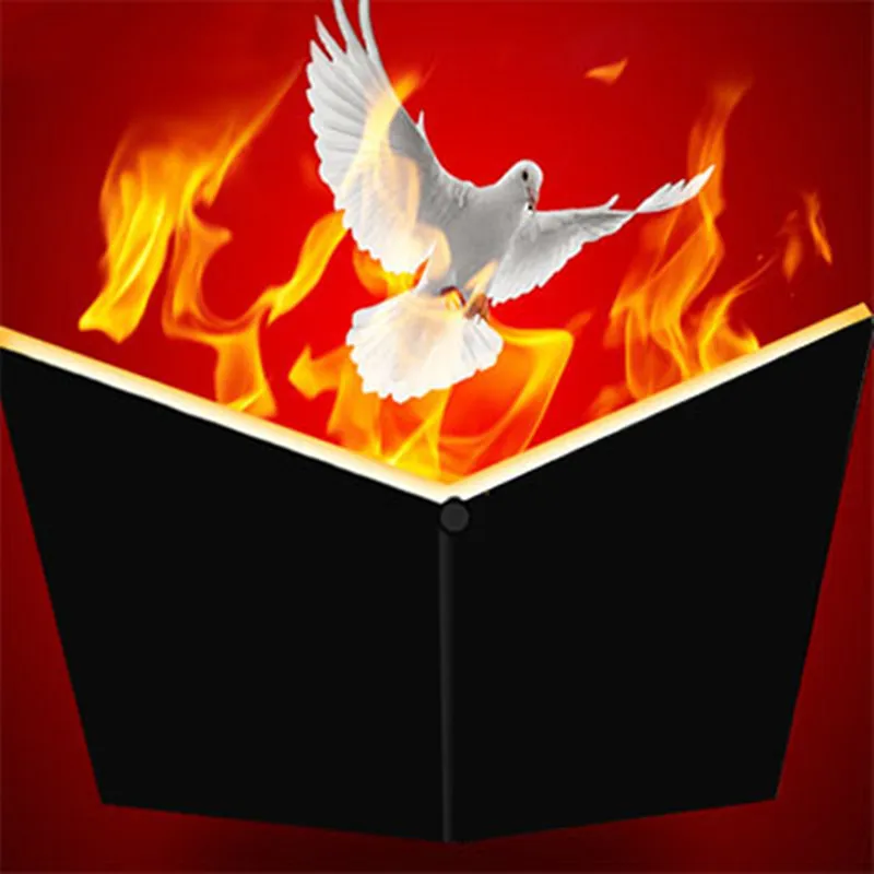 Dove& Fire книга сценические фокусы иллюзии волшебник книги вечерние Волшебные шоу трюк аксессуары Забавный голубь появляющийся из книги