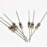 3x10 glass fuse with wire lead