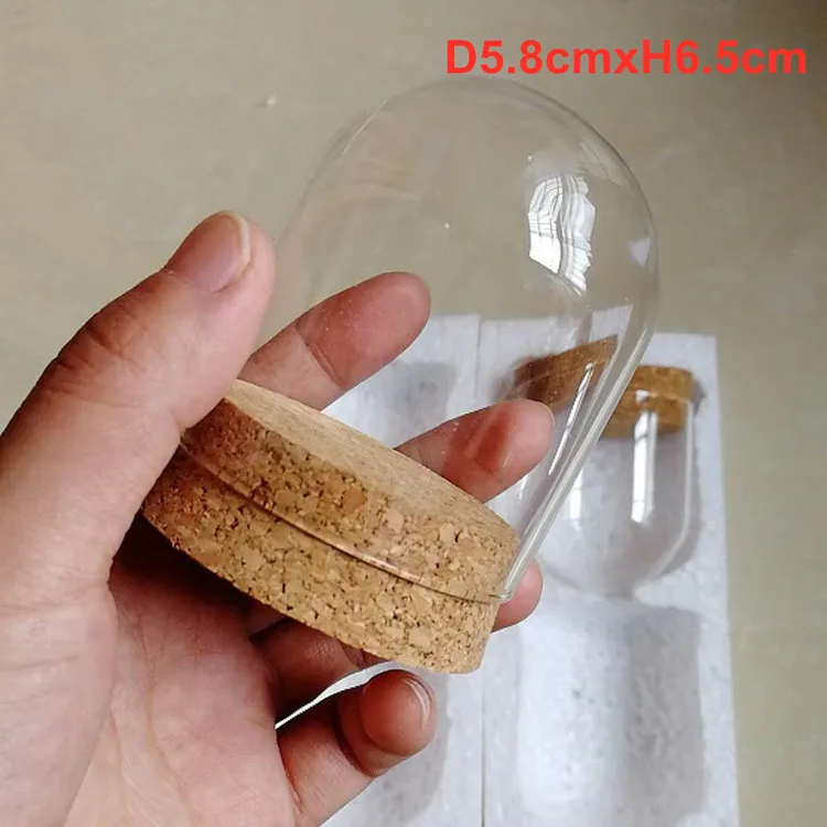 Details about   1 Pack Mini Glass Display Dome Cover Toy Crafts Vase Cloche With Wood Cork 