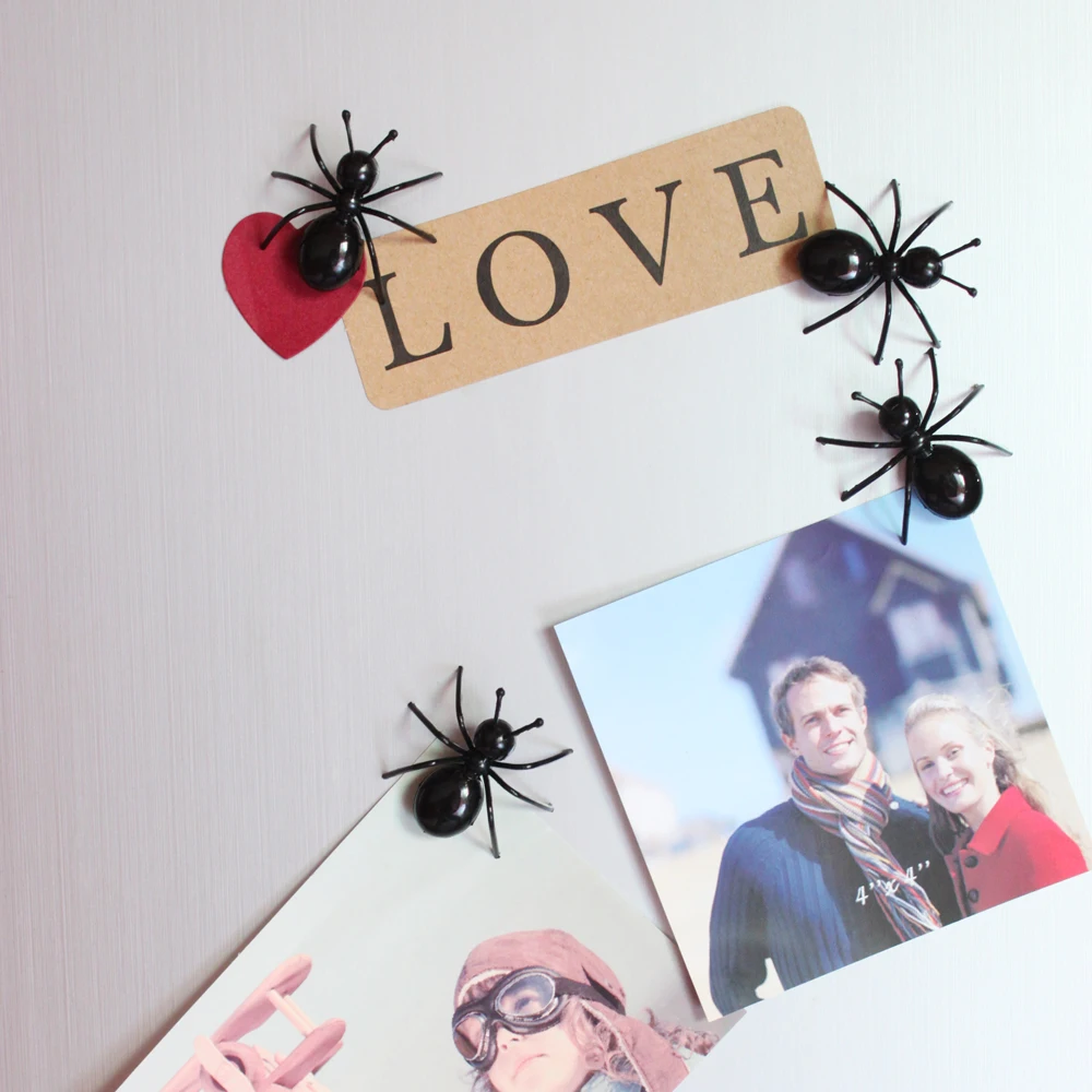 9904#-ant-magnet-DH-0011-details (1)