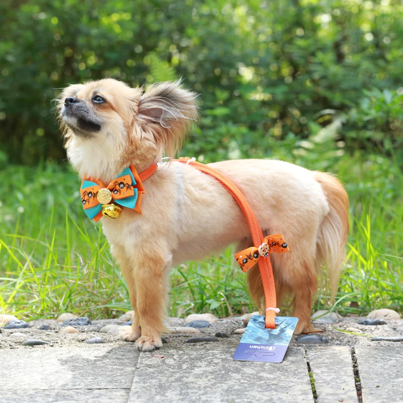 Buy Dog Harnesse Leash Set Nylon BOW Durable