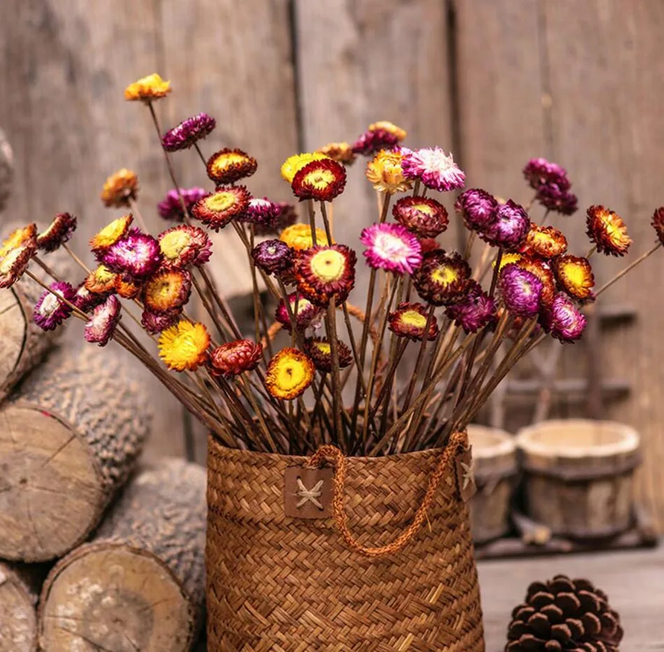 

50pcs Length 50cm Stem Dried 2-3cm Daisy Flower For Wedding Party Home Hotel Decoration DIY Bouquet Vase Accessory