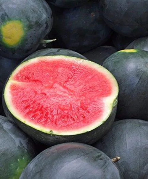 Buy 30 Pcs Black Diamond Watermelon Seeds Free Shipping