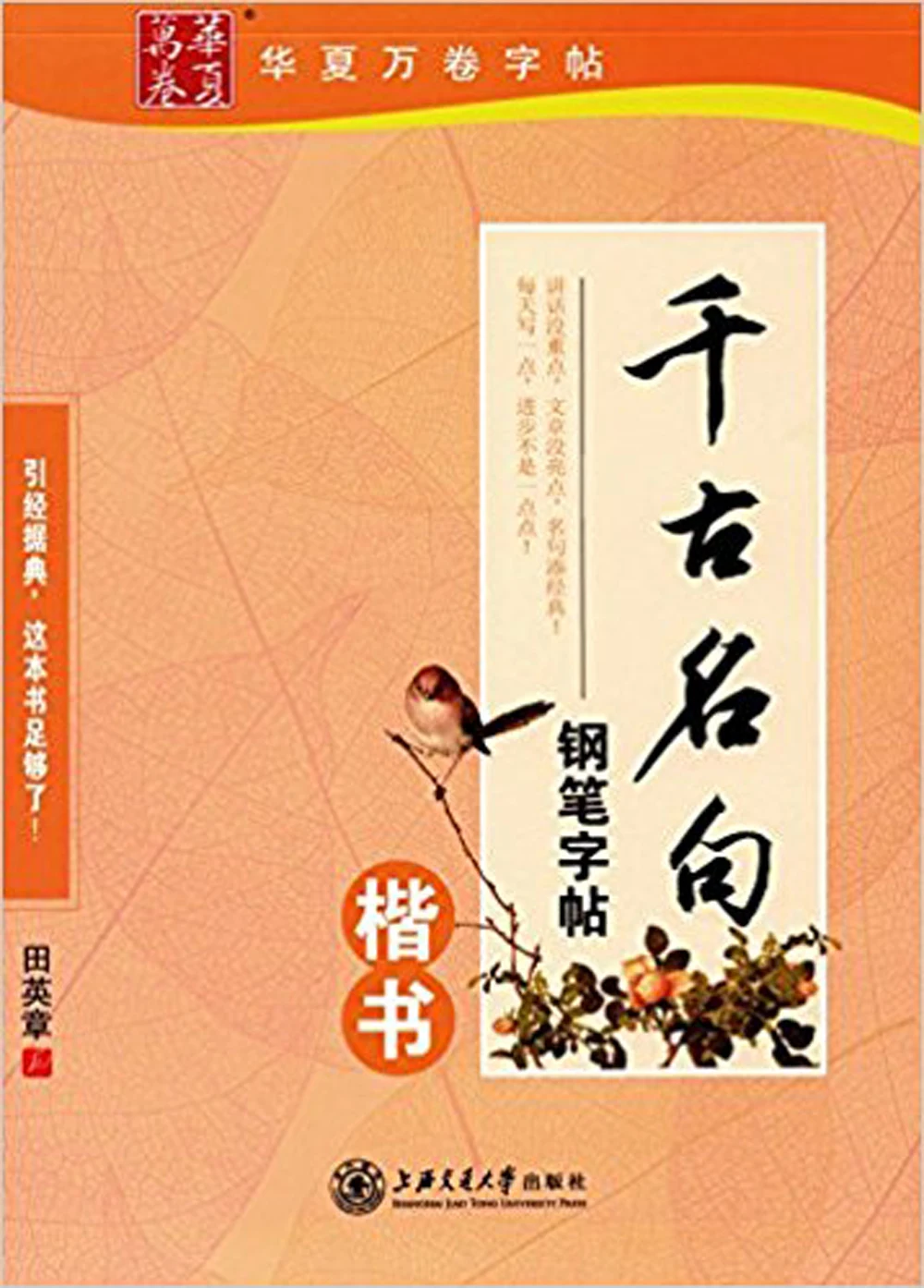 515sy88iYCL._SX356_BO1,204,203,200_