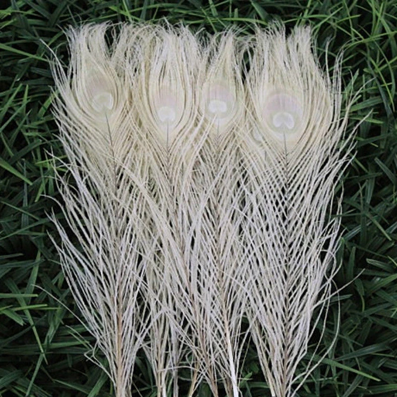 

Wholesal Wholesale 100pcs beautiful white peacock tail feathers 25-30 cm / 10-12 inch