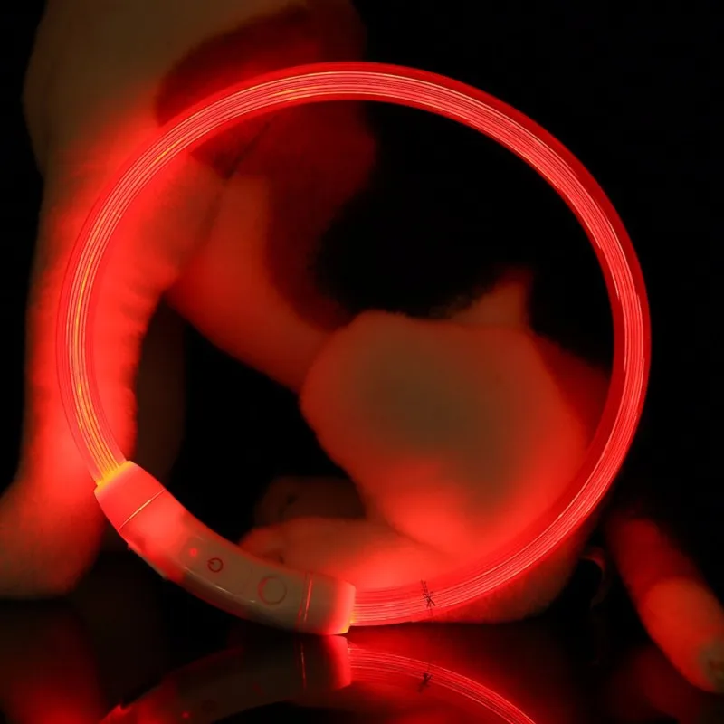 Newest Led Pet Dog Collar Rechargeable Tube Flashing Night Dog Collars Luminous Safety Puppy Cat Collar Light  Pets Accessories (4)