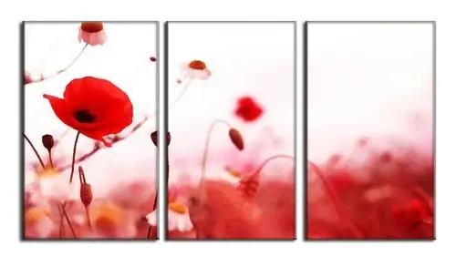 

3 Pcs/Set Artist Canvas Beautiful red flowers Still Life painting Canvas Prints Wall Pictures for Living Room Picture XJ-115