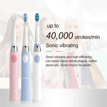 

SEAGO Electric Toothbrush with 1 Replacement Brush Heads Battery Sonic Teeth Brush Deep Cleaning Included Soft-bristle SG503