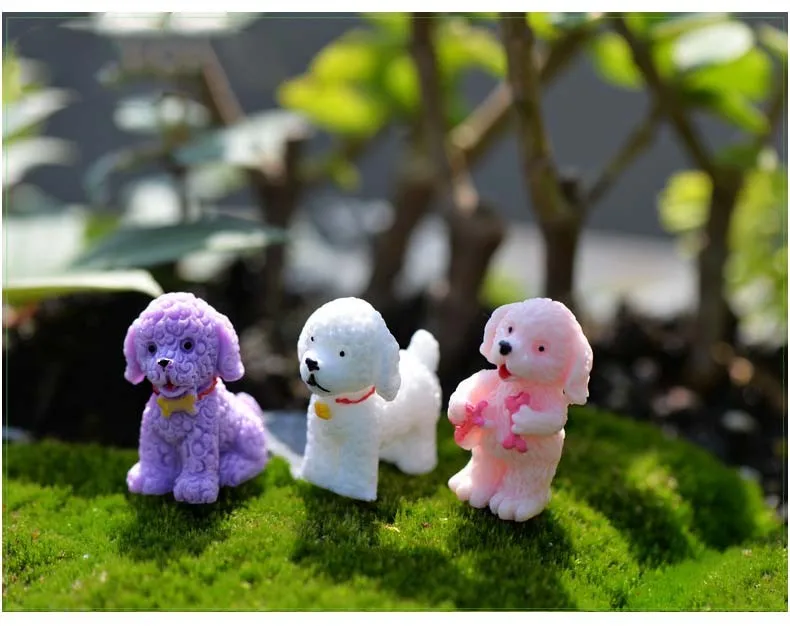 2970407327_393786582