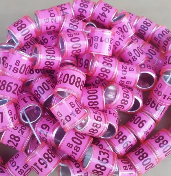 2018-GB-pink-bird-rings-pigeon-ring.jpg_640x640