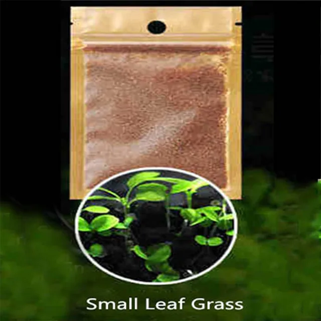 5 Pack Water Plant Seeds Aquarium Seeds Easy Aquatic Live Grow Plant