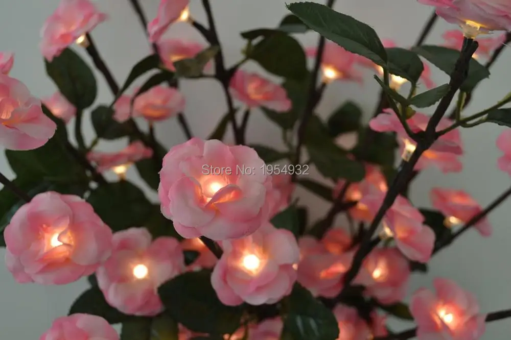 Pink Rose Near Sight.JPG