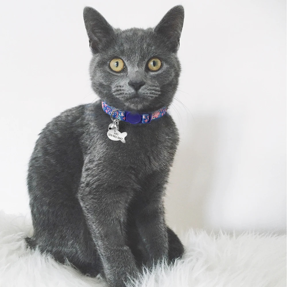 HTB1on82SVzqK1RjSZFvq6AB7VXaQ