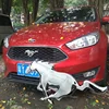Exterior Accessories