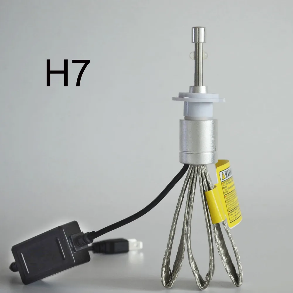 H7 (1)