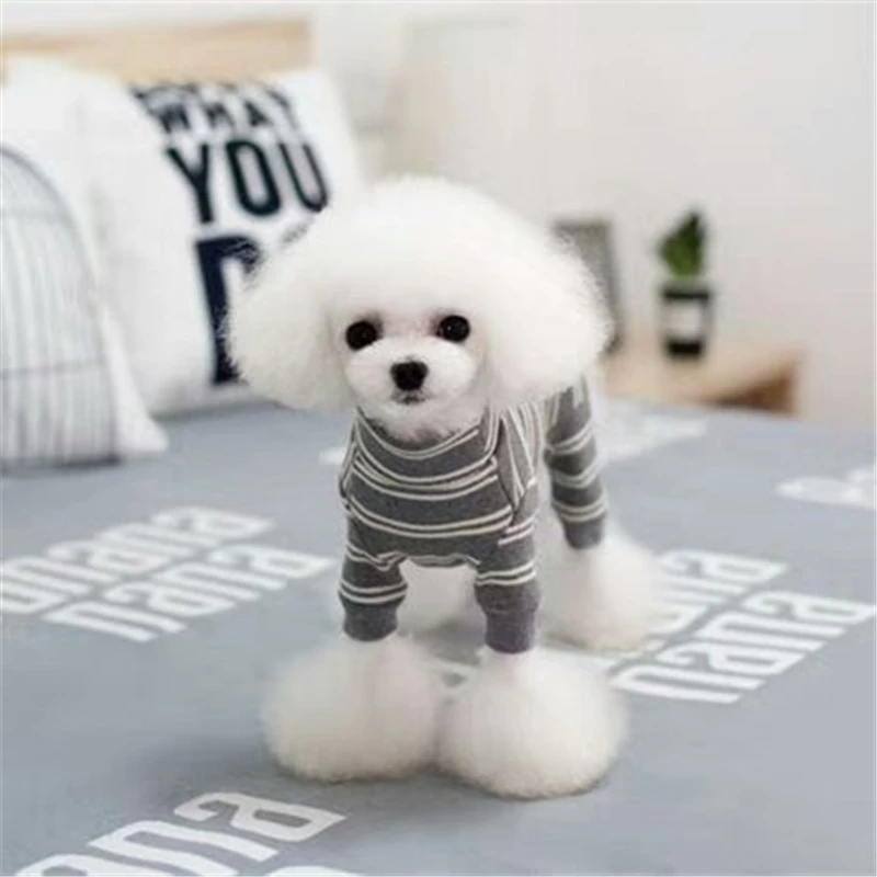 dog clothes winter (4)