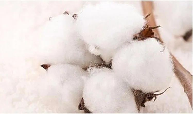 HTB1k8hWKVXXXXcuXXXXq6xXFXXX7_