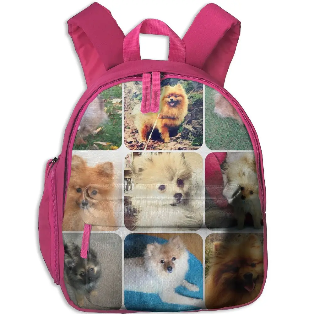 SAMCUSTOM pomeranian 3D printing Bags for girls backpack kids children