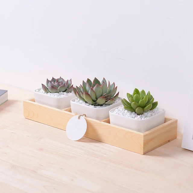 1 Set Large White Square Ceramic Succulent Plant Pots With Bamboo 1 Set Large White Square Ceramic Succulent Plant Pots With Bamboo Tray Box Desktop Home Decoration
