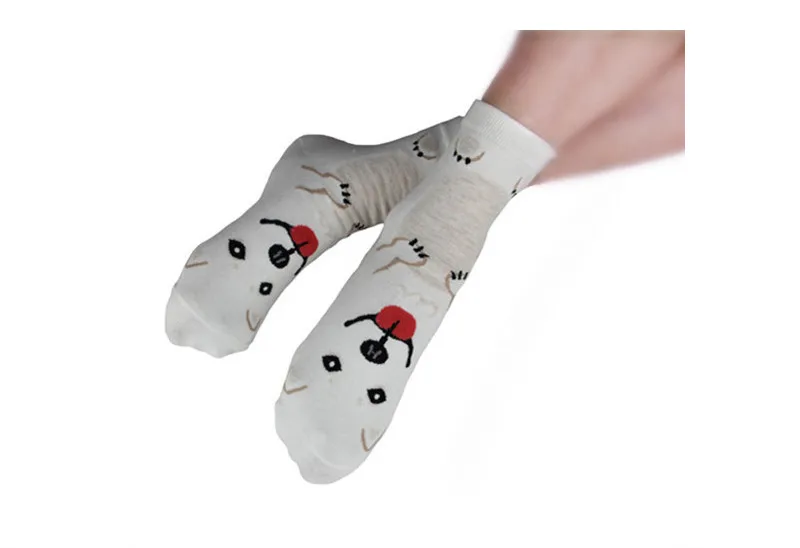 5 пар женские носки с принтом кошка маленькая собака животного Невидимый Носки тапочки из хлопчатобумажной ткани женские летние Хаски ботильоны Kawaii милые носочки без коробки