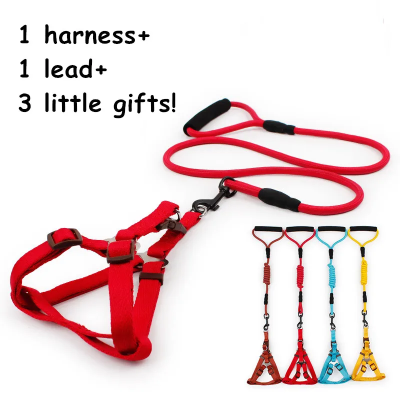 pet dog harness puppy leashes small dog collars for cat adjustable kitty leads S L fashion style