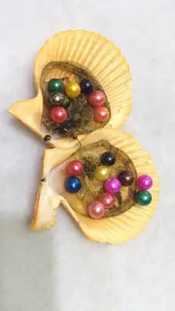 

20PCS Akoya scallop Pearl Oyster with AAA Grade 6-7 mm Mix 28 Colors Freshwater Round pearls Individual Packing best gift RR009