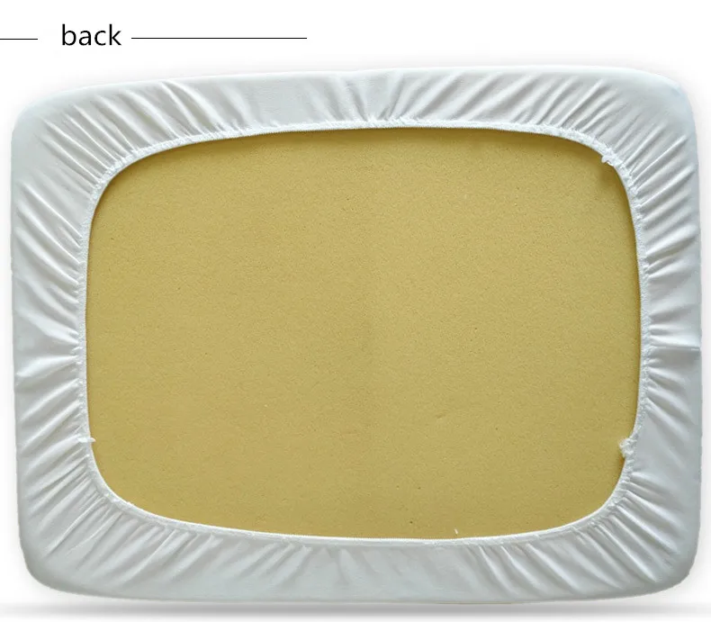 8792522884_508797368