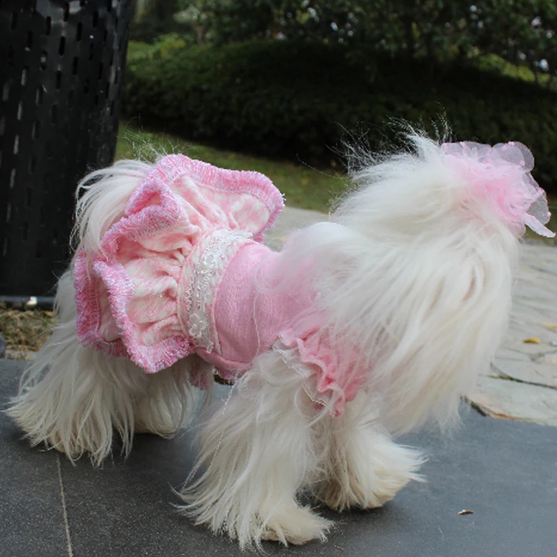 OnnPnnQ модная теплая одежда с принтом в виде собак зимнее утепленное платье принцессы+ пальто для маленькие собаки, питомцы собаки с изображением "Кот", Одежда для животных Костюмы