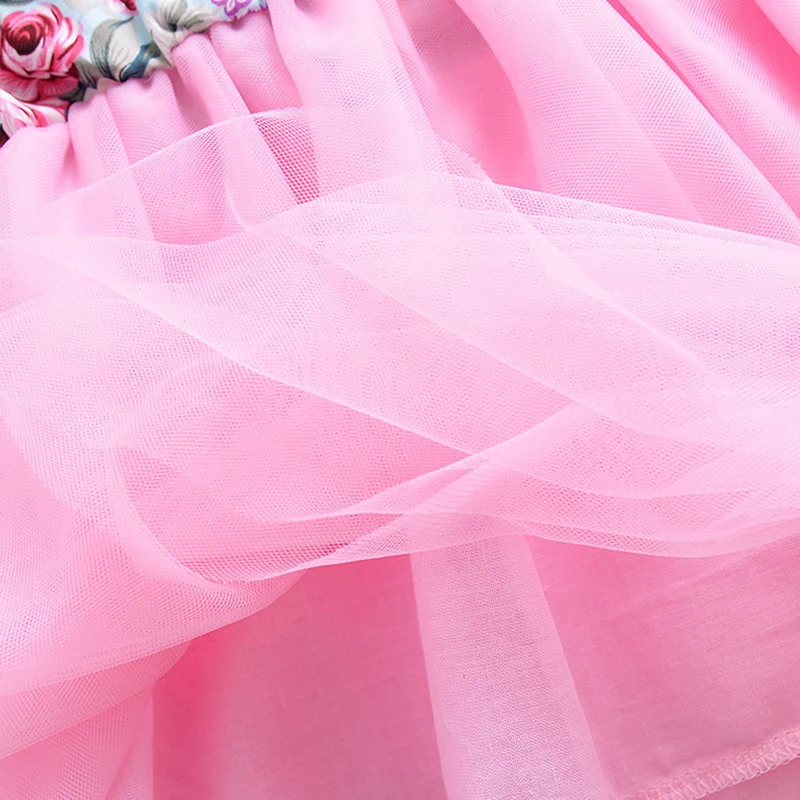 8095678768_816953064