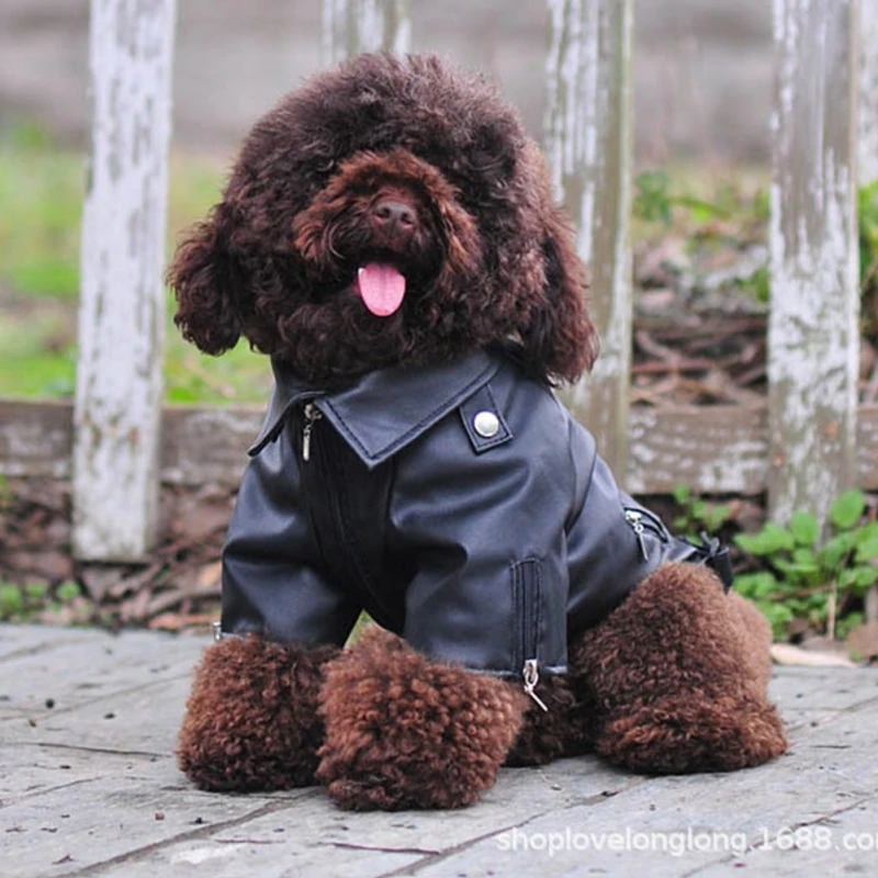 

Cool Waterproof Dog Clothes Leather Coat Winter Dog Jacket Coat Small Dogs Pets Pug French Bulldog Roupa Cachorro Frence Bulldog