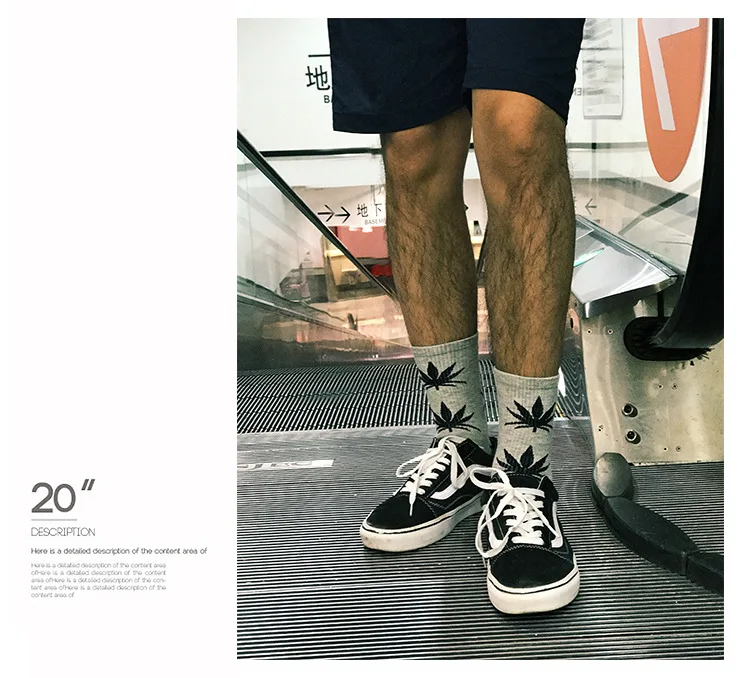 A3