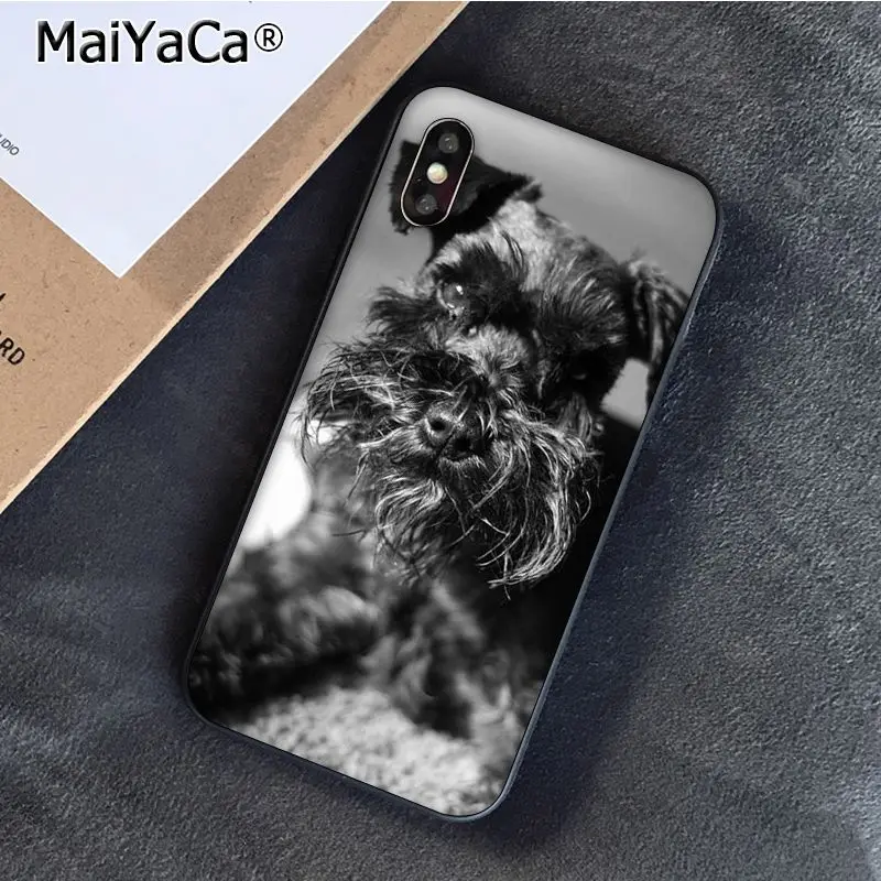 Lovely Dogs Schnauzer 
