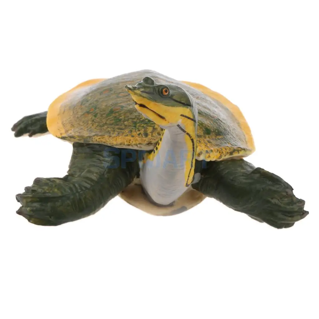 Animals Figure Toys Sea Soft-shelled turtle Animals Model Aquarium Toys Realistic Wild Pastic Figurine Animal Developmental Toy