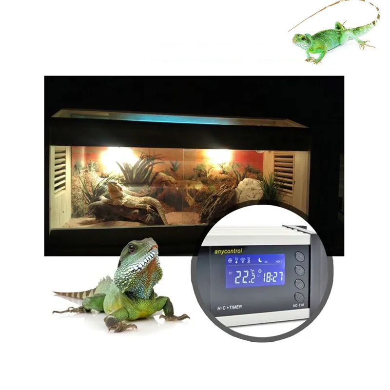 Buy Pet Digital Aquarium Reptile Tank Thermostat Day