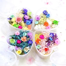 Topic Dried Flowers Nails Magazine French W Dried Flowers