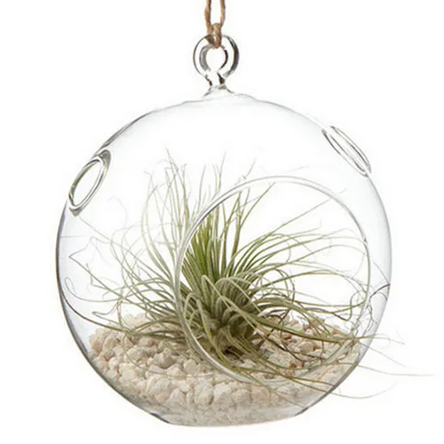 

Free Shipping Glass Terrarium Vase Different Diameter Glass Globe with one open and 2 small holes Home Decoration Glass Vase