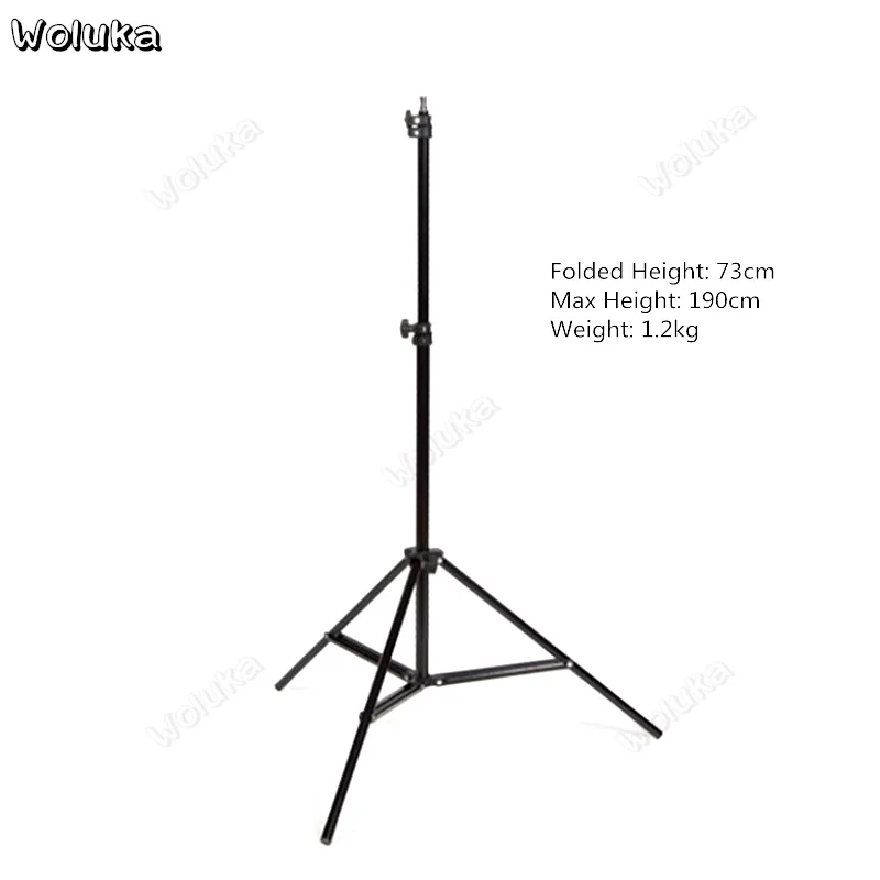 36020181226100439478