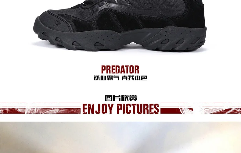 1948695963_1101723300