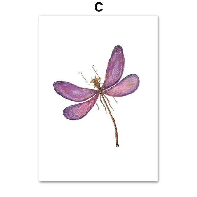 Colorful-Dragonfly-Wall-Art-Canvas-Painting-Nordic-Posters-And-Prints-Animals-Wall-Pictures-For-Living-Room.jpg_640x640 (2)